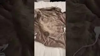 Bedsure Fleece Electric Blanket Queen   Heated Blanket Review, Heated blanket with 2 controllers
