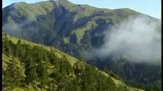 The National Forest Recreation Areas of Taiwan (1 of 3)