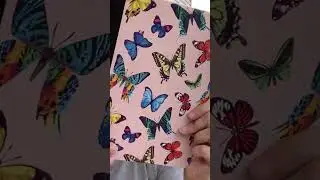 #dollartree #dollartreefinds #dollartreehaul #butterflies #journal #composition #notebook