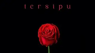 Tersipu - Steady Groove | Official music video