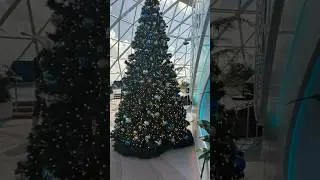 Merry Christmas from Star of the Seas #inaugural #christmas #season #staroftheseas