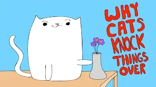 What Cats Are Really Thinking When They Knock Things Over 🙀 Funny Cat Animation