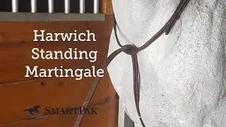 Harwich Standing Martingale Review