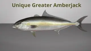 Fishing Planet unique Greater Amberjack (Japan)