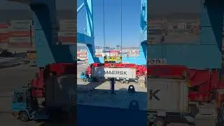 port container terminal operations