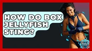How Do Box Jellyfish Sting? - The Marine Life Explorer