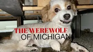 THE WEREWOLF OF MICHIGAN