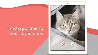 pet mating  The Pet Breeding App - Find the Perfect Mate for Your Furry Friend