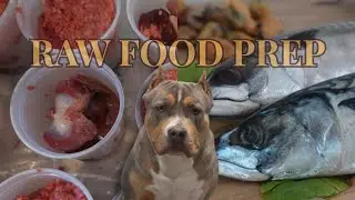 How Much Does It Cost to Feed an XL American Bully RAW? Farmers Market Raw Food Haul 
