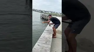 Not the target species #shorts #fishing #fishingvideo #fish #fishinglife #ocean #oceanfishing #nj