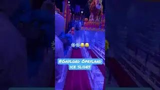 #christmas #gaylord #gaylordopryland #ice #slide #kids #funnyvideo