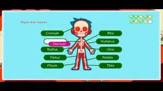 BodyQuest! #games #gaming #quiz #adventure (1)
