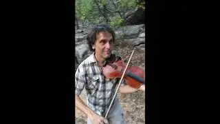 What is Strings in the Woods?