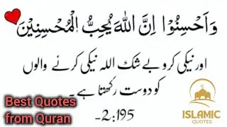 BEST ISLAMIC QUOTES COLLECTION FROM QURAN || Islamic Motivational Quotes in Urdu @islamicquotes96 