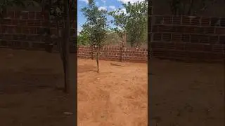 Dando aquela refrescada no calor do sert&atilde;o!!!!! #shorts