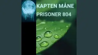 Prisoner 804
