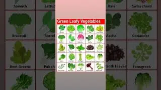 Green Leafy Vegetables Name in English 🥬