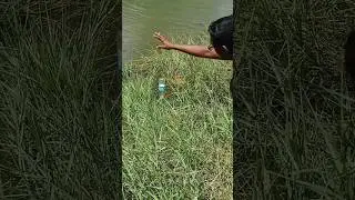 Viral fish Catching water bottle used #shorts #fish video