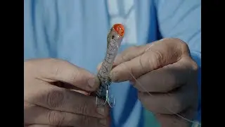 How to use the Nomad Design Dartwing 130 Surface Popper