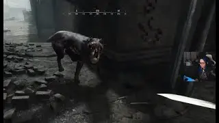 Hunt: Showdown - Hellhounds are OP