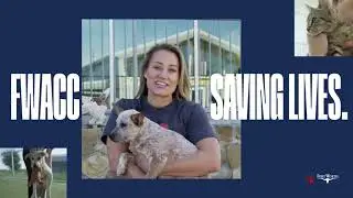 Fort Worth Animal Care & Control Revamps Volunteer Program