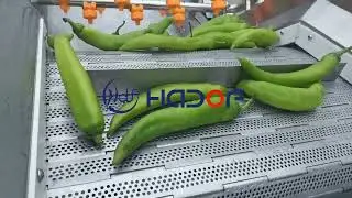 Green Pepper Washing Machine