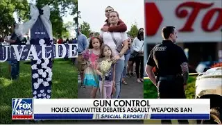 Special Report : House Democrats draft bill to ban assault weapons