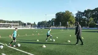 1. Balcontrole en coördinatie, kappen links en rechts.