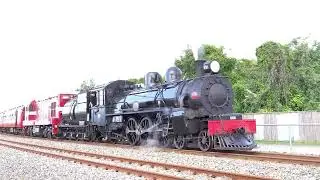 Ab608 Passchendaele at Otaki