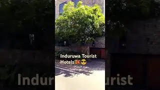 Induruwa #beach #hotel  #srilanka #bollywood #song #music #hindisong #love #travel #sugarbeach 🇱🇰😎🐢🐠