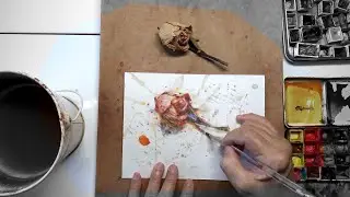 PROCESS: Daily Rose Watercolour Painting DAY 3807 (20260109FRI)