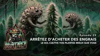 Comment cultiver du cannabis de qualit&eacute; sans engrais, sans carences et sans maladies
