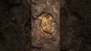 FINDING GOLD BURIED IN THE GROUND #shorts