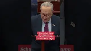 Schumer slams Trump for saying Jews who vote Democrat 