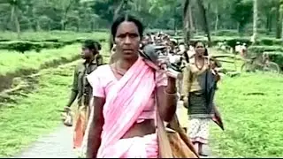 Bitter brew: Closed tea gardens, abandoned workers