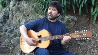 Viola da terra