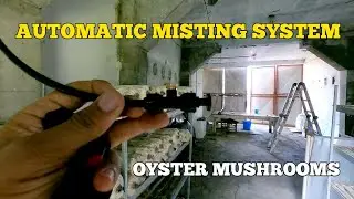 🍄 Automatic Misting System for Oyster Mushroom Production