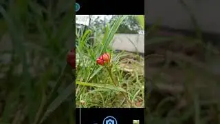 new trending camera app💫💥📸 #viral #photography #opencamera