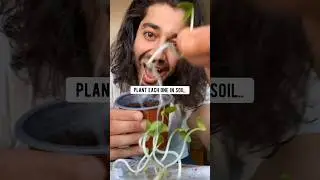 DIY Homemade Cucumbers 🥒 | creative explained