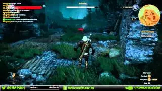Witcher 3 | The Botchling Fight | *SPOILER*