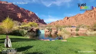 Timo Driedger & Timo Hawaii Mesquite Agency &ndash; Exclusive Buyer Agent & New Home Consultant