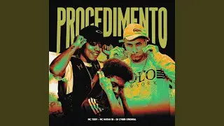 PROCEDIMENTO
