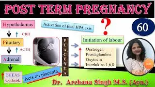 60. POST TERM PREGNANCY/ POST MATURITY । समय पश्चात् प्रसव । प्रसूति तंत्र एवं स्त्री रोग ।