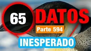 65 Datos Únicos e Incomparables Que Te Sorprenderán
