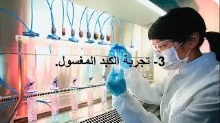 تجربة الكبد المغسول كاملا - من انجاز قسم 2 ع ت 2 / ثانوية بن مايسة بشير