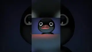 noot noot #p5