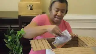 Hirt's Gardens Plant Unboxing