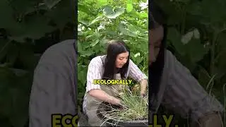 Planting Based off of ECO REGION vs GROWING ZONE #shorts