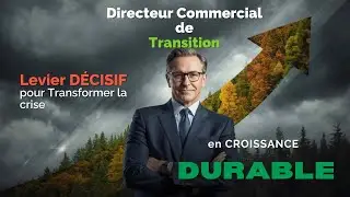 Interim Sales Director: The Decisive Lever to Transform Crisis into Sustainable Growth
