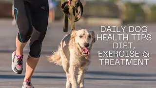 Daily Dog Health Tips Diet, Exercise & Treatment